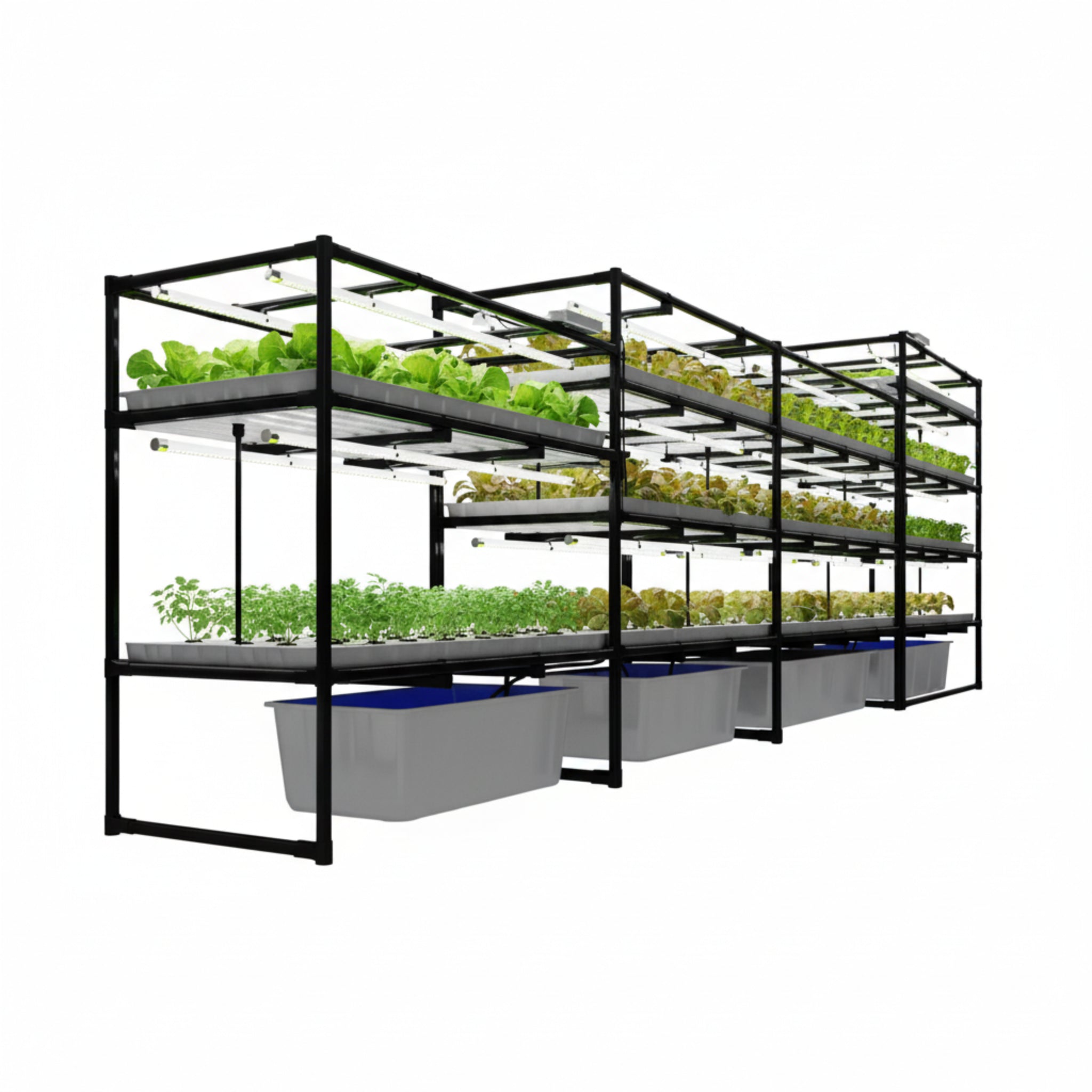 IronBloom ProLine Four-Bay Microgreen Grow Station