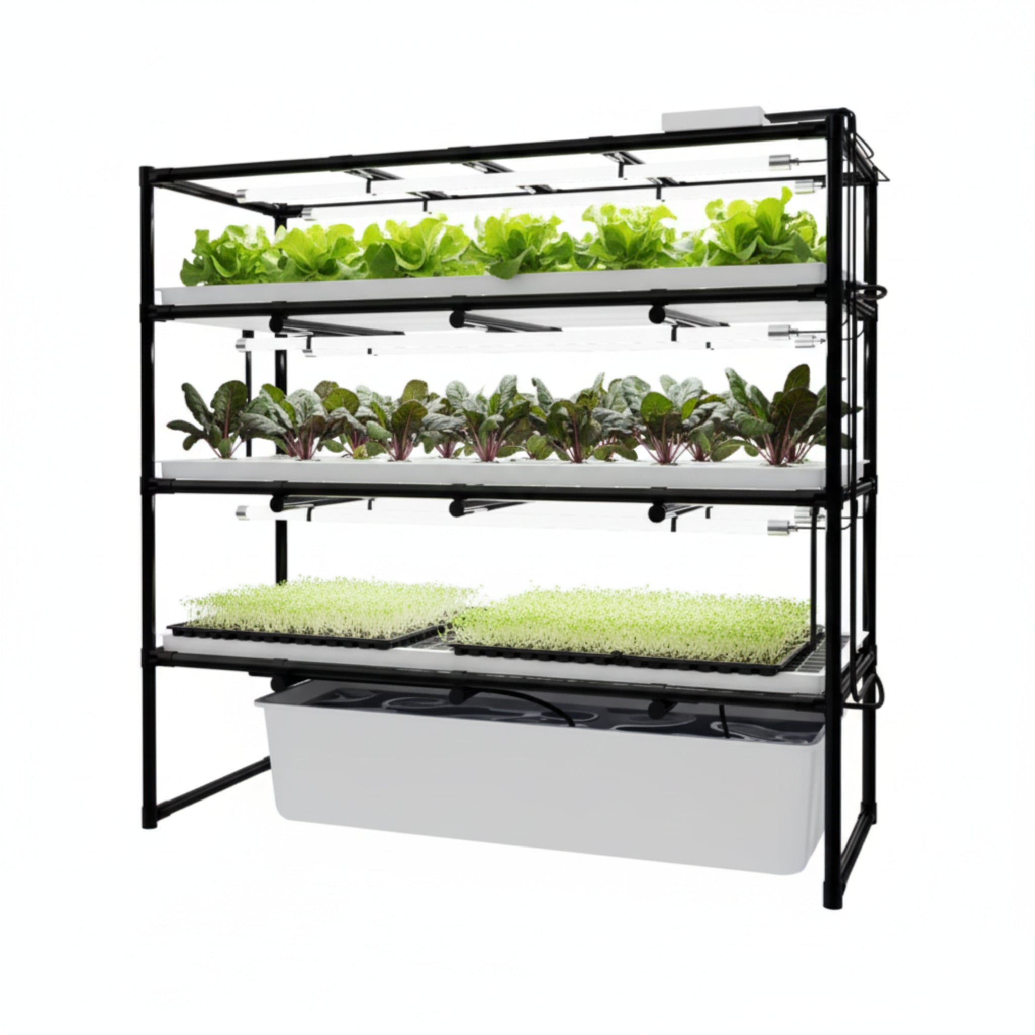 IronBloom ProLine Four-Bay Microgreen Grow Station