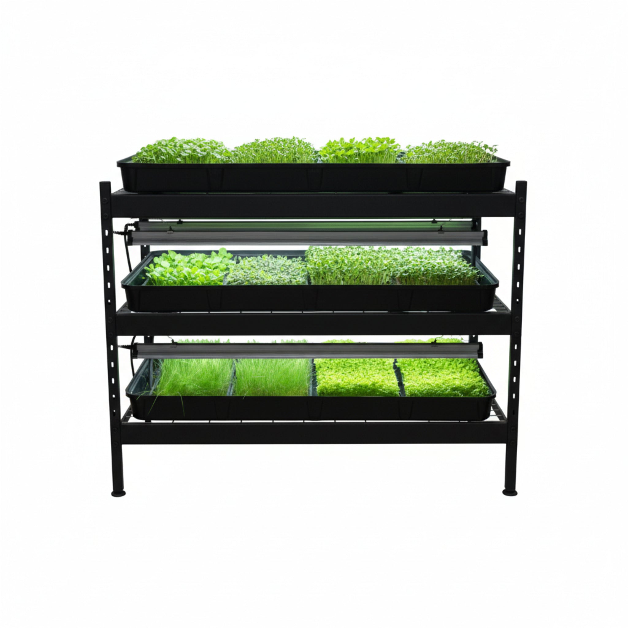 Verdastra LuxRoll Microgreen Station