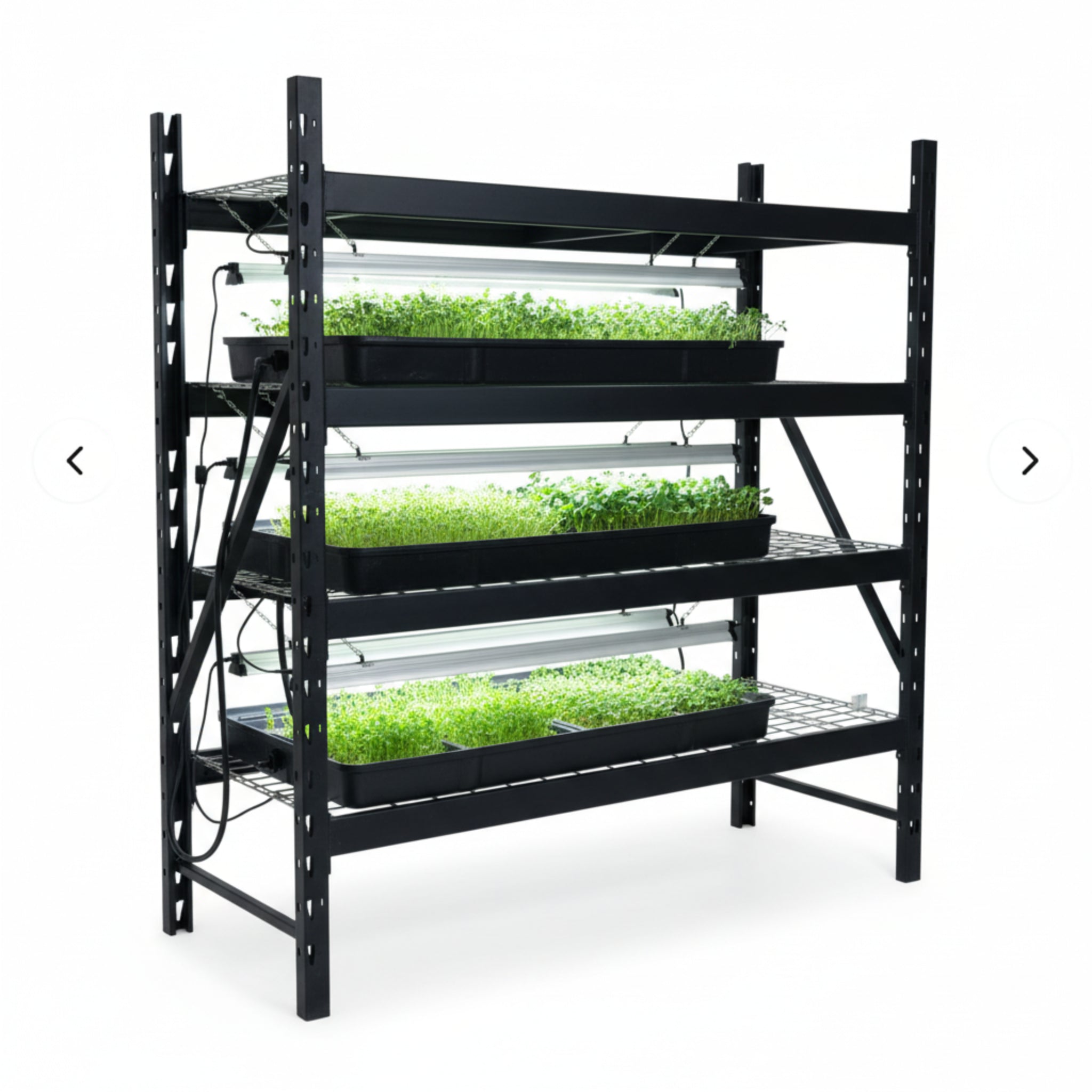 Verdastra LuxRoll Microgreen Station